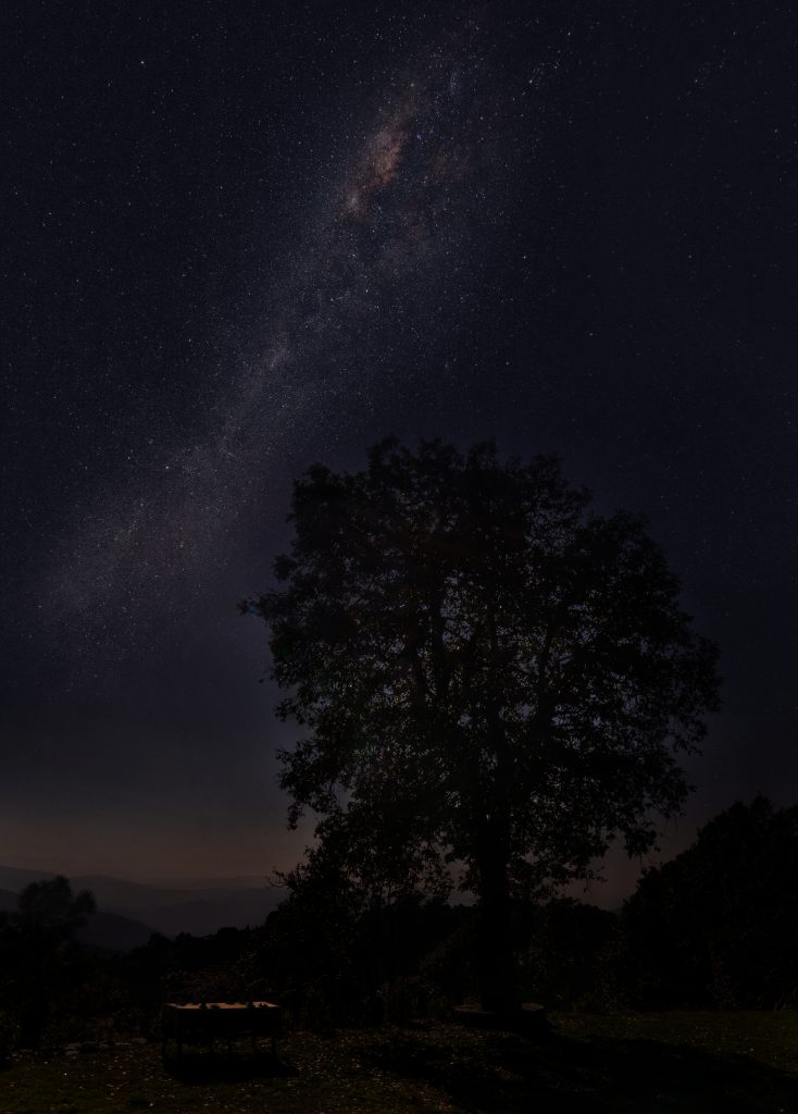 The Milky Way rises on clear winter nights in the skies over Binsar.